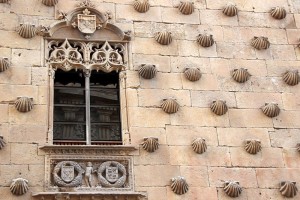 Casa de las Conchas. Foto de Manuel Martín Vicente